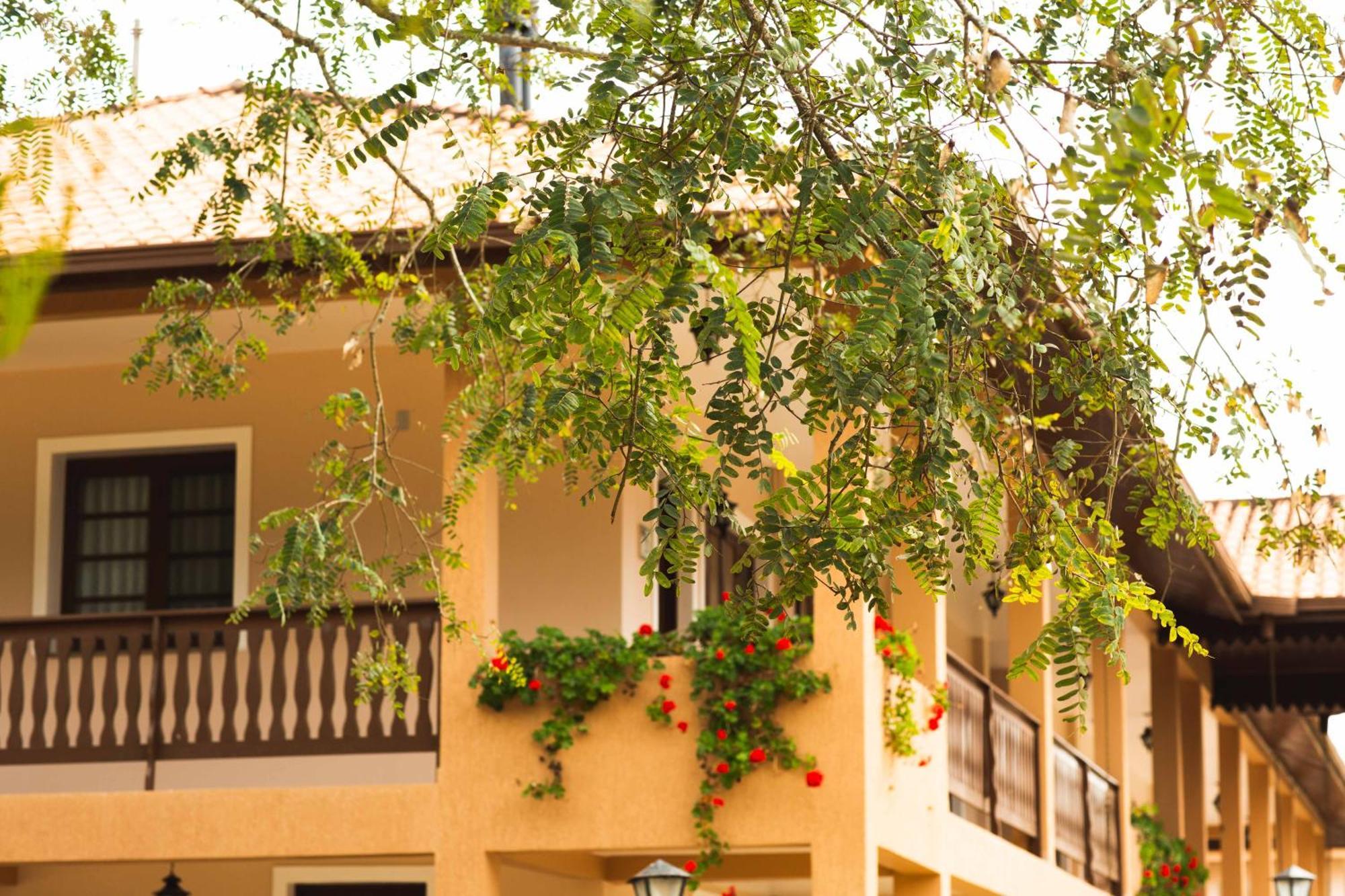 Hotel Fazenda Itaytyba ティバジ エクステリア 写真